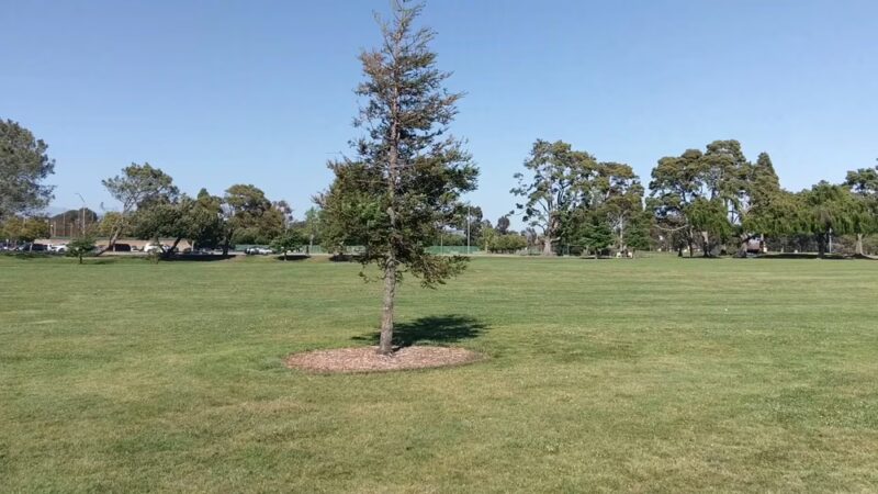 Marina Park - San Leandro, CA