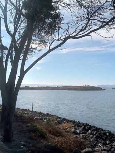 San Leandro Marina - to walk - San Leandro, CA