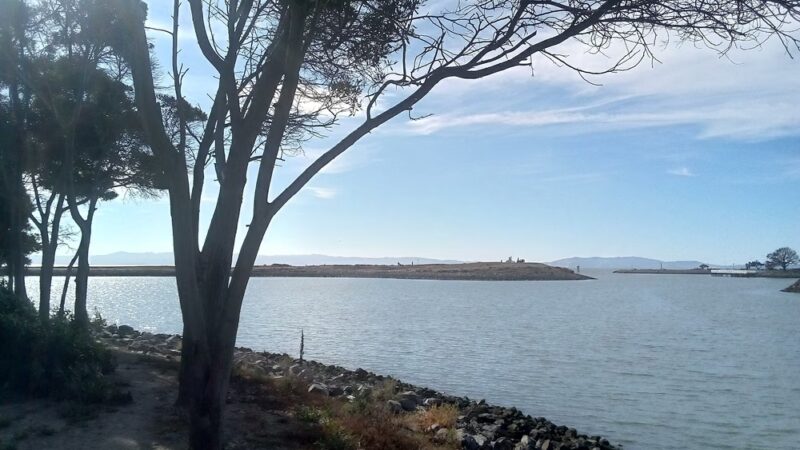 San Leandro Marina - to walk - San Leandro, CA