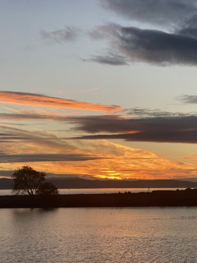 San Leandro Marina - to walk - San Leandro, CA