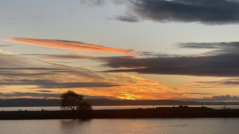 San Leandro Marina - to walk - San Leandro, CA