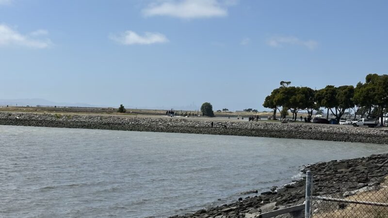 San Leandro Marina - to walk - San Leandro, CA