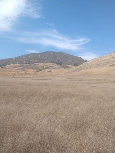 Dog off-leash park - San Luis Obispo, CA