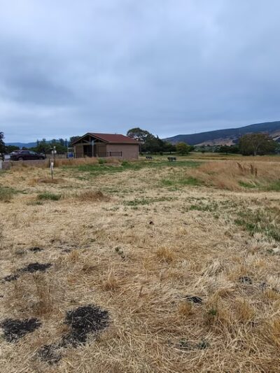 Dog off-leash park - San Luis Obispo, CA