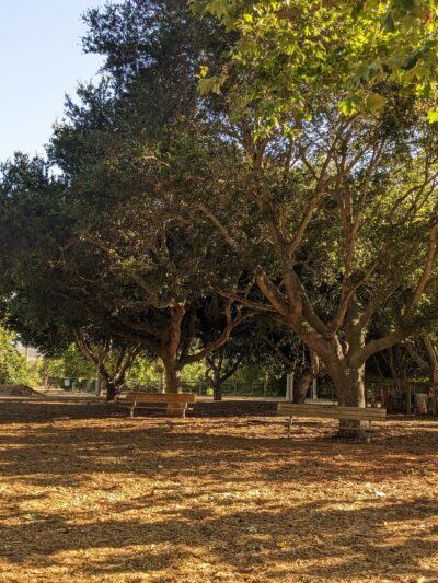 El Chorro Dog Park - San Luis Obispo, CA