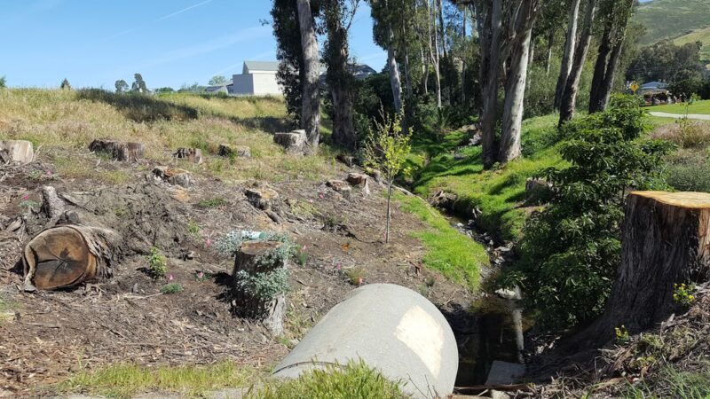 Johnson Park - San Luis Obispo, CA