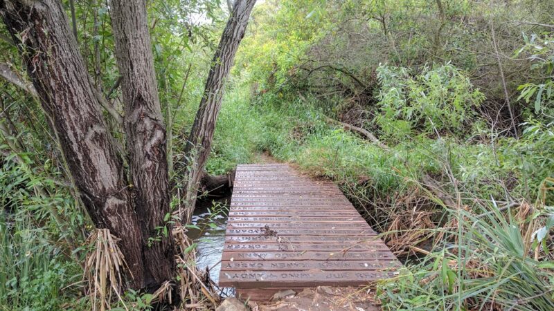 Dove Tail Park - San Marcos, CA