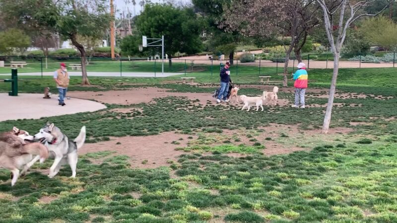 Montiel Park - San Marcos, CA