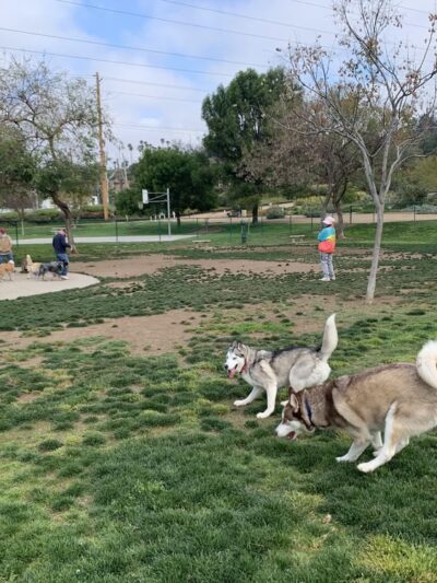Montiel Park - San Marcos, CA