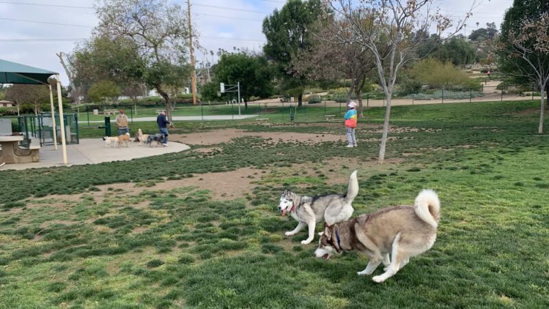 Montiel Park - San Marcos, CA