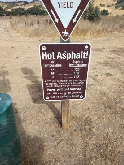 Coyote Lake Harvey Bear Ranch • Parking Lot - San Martin, CA
