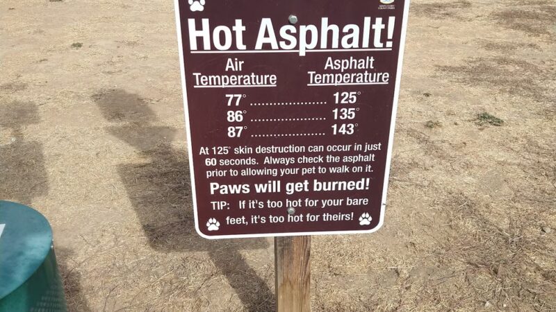Coyote Lake Harvey Bear Ranch • Parking Lot - San Martin, CA