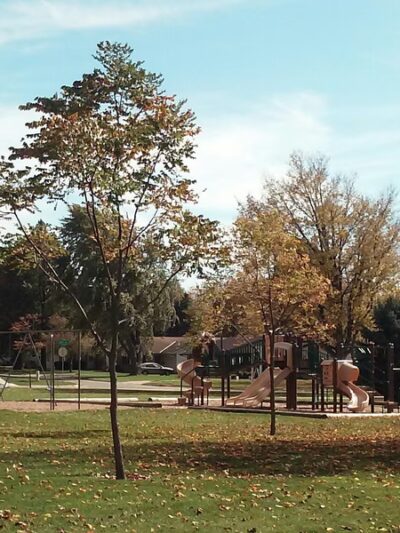 San Miguel Park - San Miguel, CA