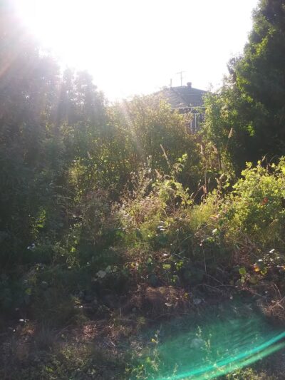 Wanlass Park - San Pablo, CA