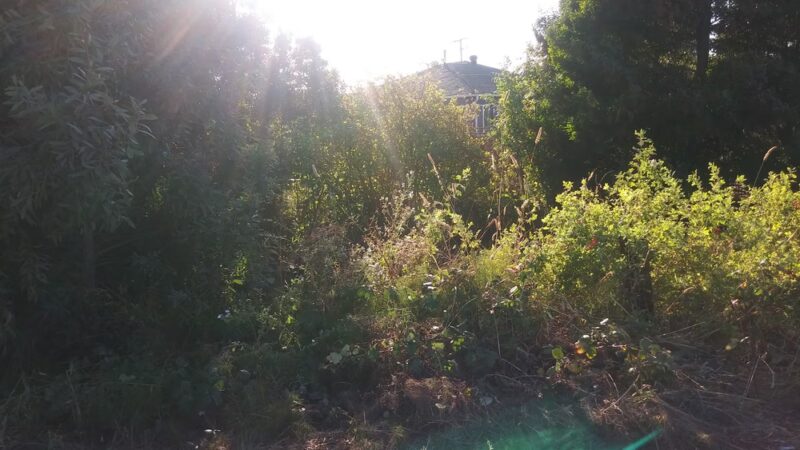 Wanlass Park - San Pablo, CA