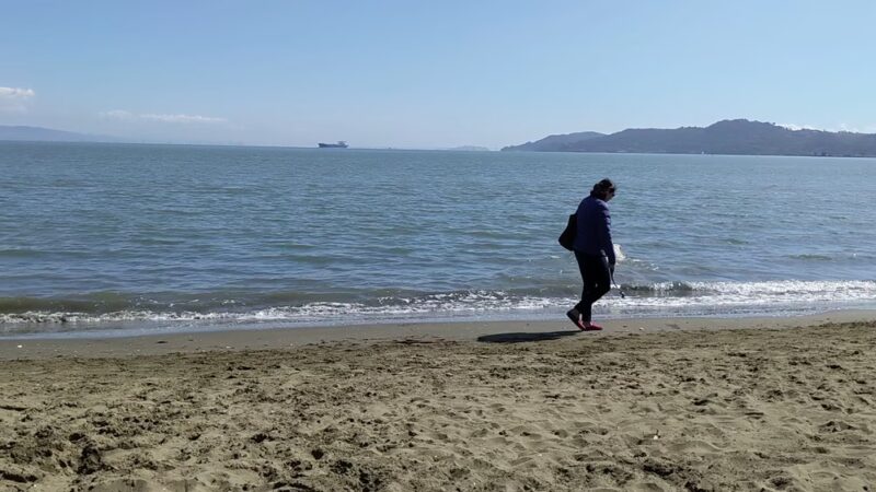 San Quentin Beach - San Quentin, CA