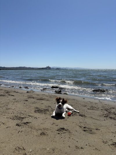 San Quentin Beach - San Quentin, CA