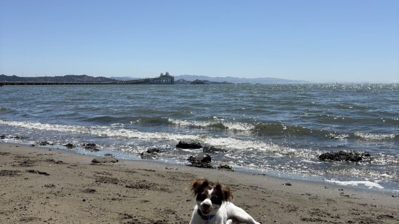 San Quentin Beach - San Quentin, CA