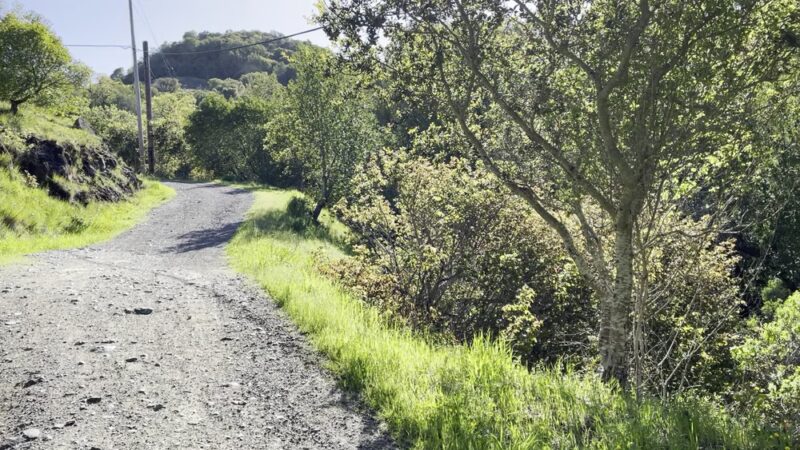 Terra Linda Preserve - San Rafael, CA