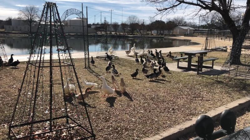 Mill Pond Park, San Saba, TX - San Saba, TX