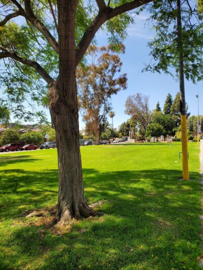 San Ysidro Community Park Playground - San Ysidro, CA