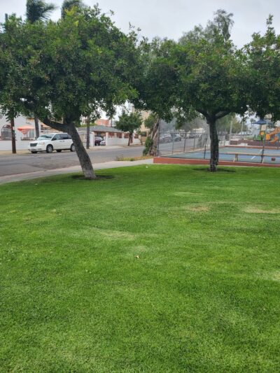 San Ysidro Park - San Ysidro, CA
