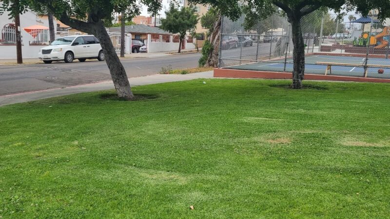 San Ysidro Park - San Ysidro, CA