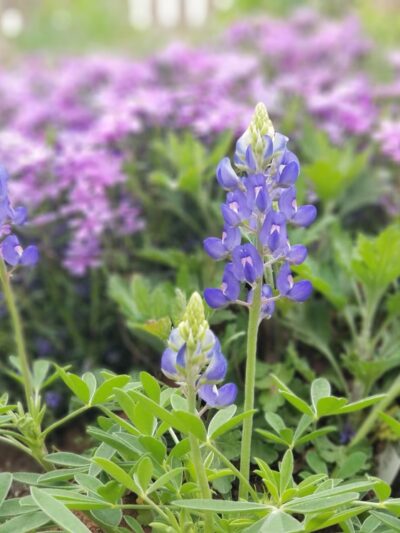 Page Park - Sand Springs, OK