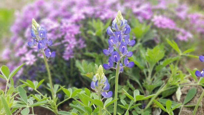 Page Park - Sand Springs, OK