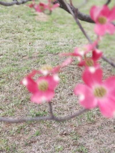 Page Park - Sand Springs, OK