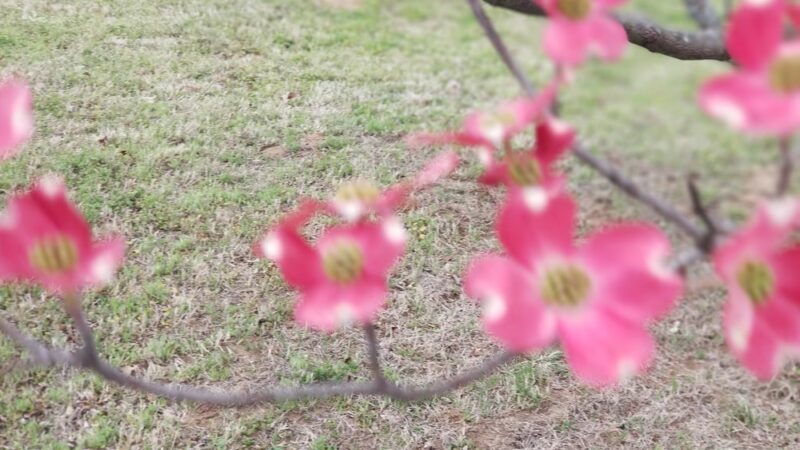 Page Park - Sand Springs, OK