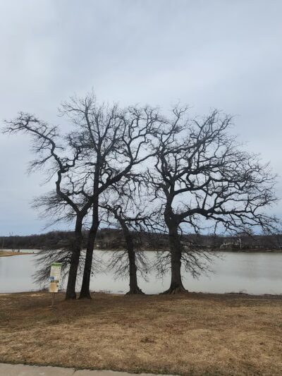 Sand Springs Lake Park - Sand Springs, OK