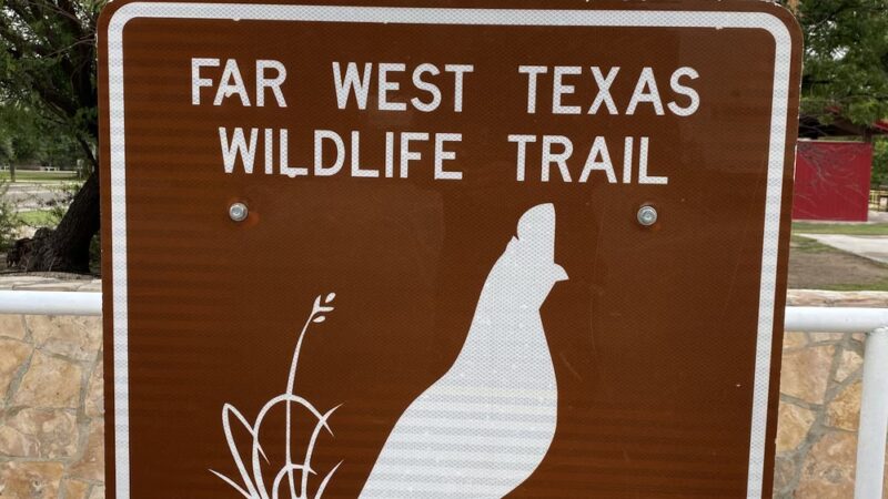 Bicentennial Park - Sanderson, TX