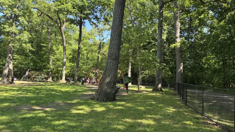 Woodland Playground - Sands Point, NY