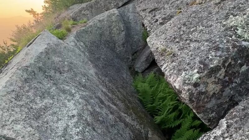 Eagle Cliff Trailhead - Sandwich, NH