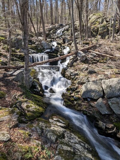 Paugussett State Forest - Parking Lot - Sandy Hook, CT
