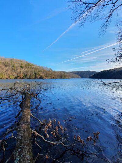 Paugussett State Forest - Parking Lot - Sandy Hook, CT