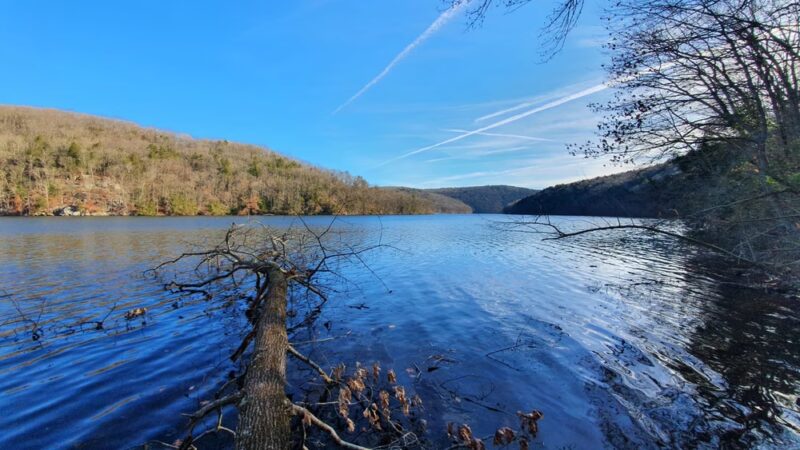 Paugussett State Forest - Parking Lot - Sandy Hook, CT
