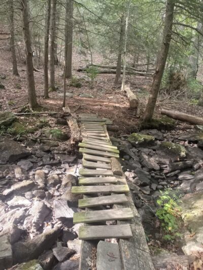 Paugussett State Forest - Parking Lot - Sandy Hook, CT