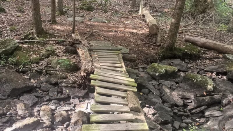 Paugussett State Forest - Parking Lot - Sandy Hook, CT