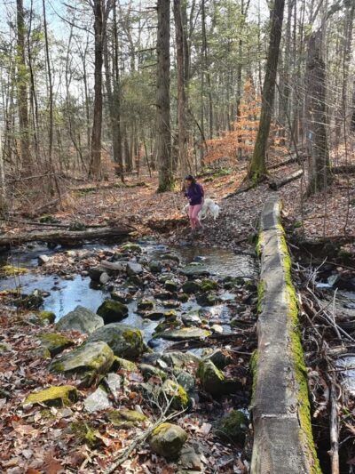 Paugussett State Forest - Parking Lot - Sandy Hook, CT