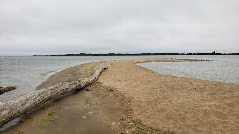 Seal Beach - Sandy Hook, NJ