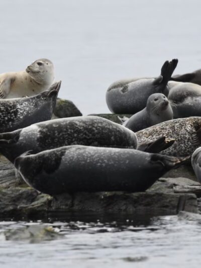 Seal Beach - Sandy Hook, NJ