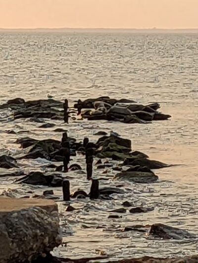 Seal Beach - Sandy Hook, NJ