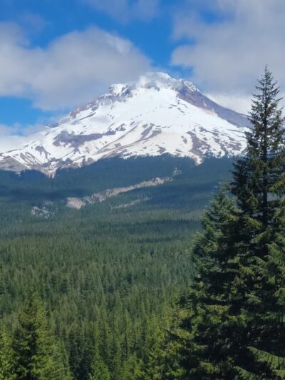 Mount Hood National Forest - Sandy, OR