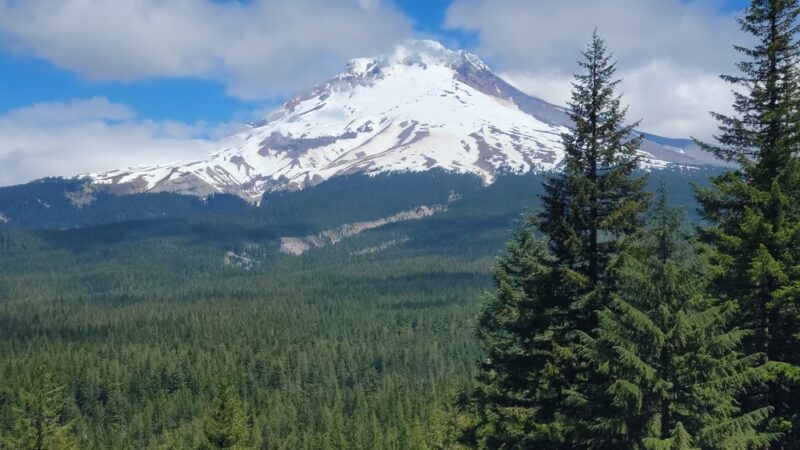 Mount Hood National Forest - Sandy, OR