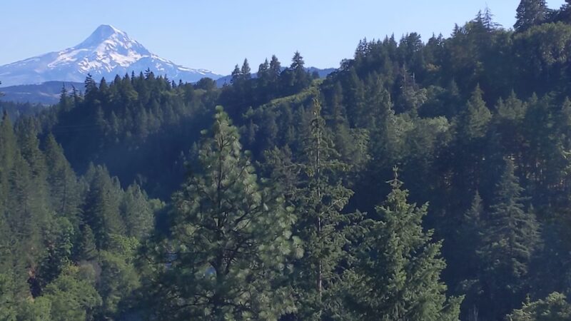 Mount Hood National Forest - Sandy, OR