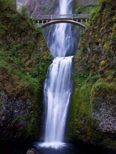 Mount Hood National Forest - Sandy, OR
