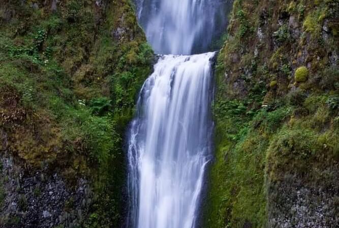 Mount Hood National Forest - Sandy, OR