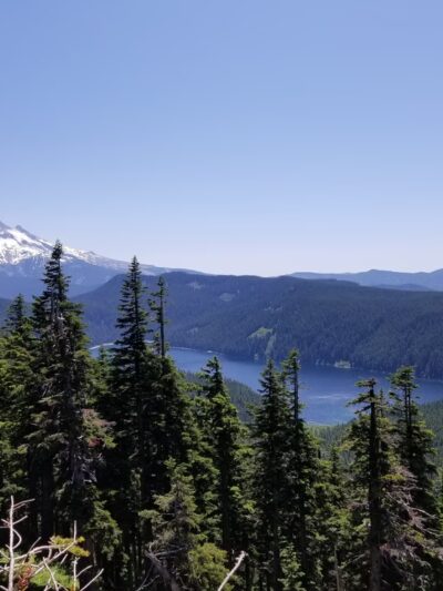 Mount Hood National Forest - Sandy, OR